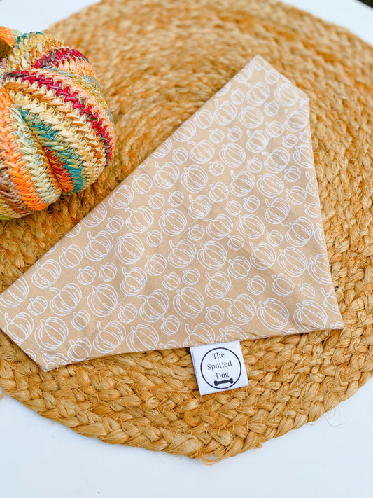 Pumpkin & Cream Bandana