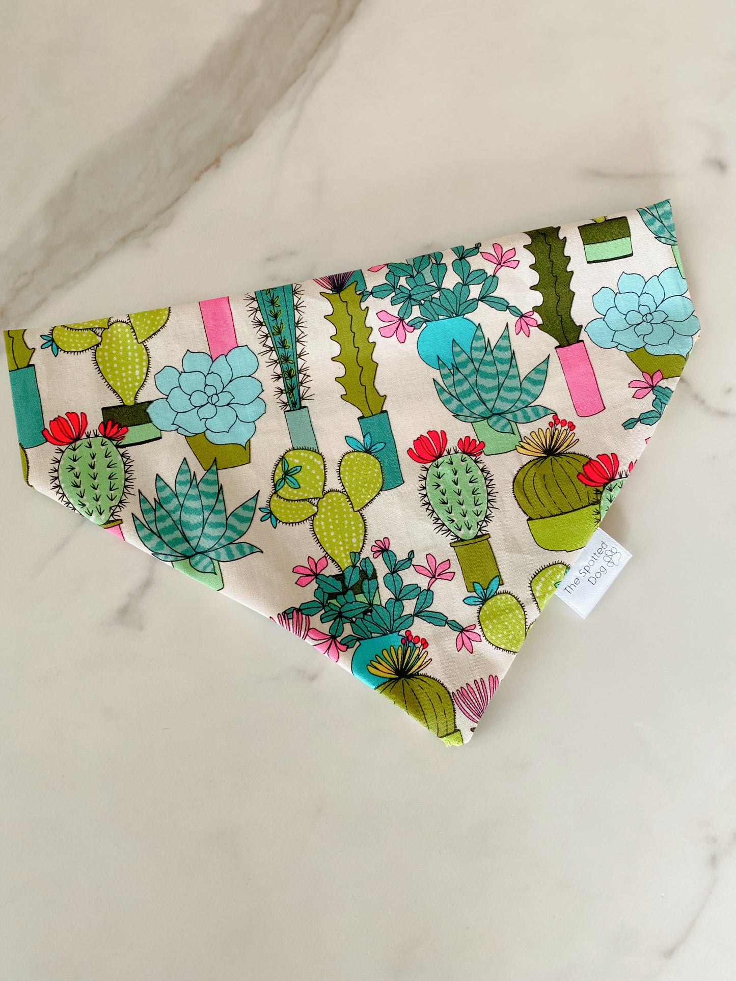 Succulent Chic Bandana