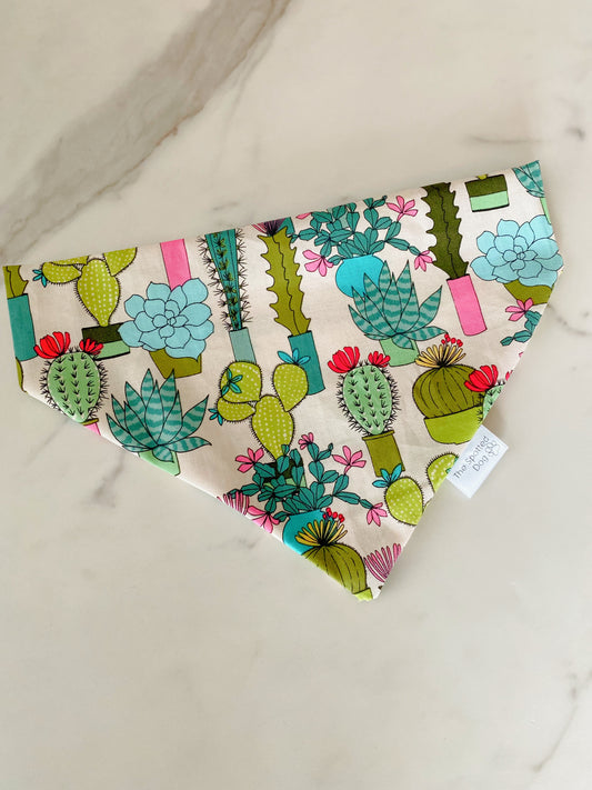 Succulent Chic Bandana