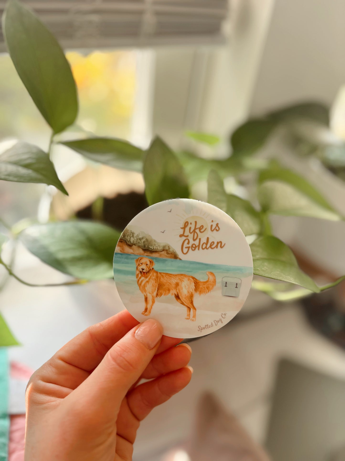 Life is golden sticker
