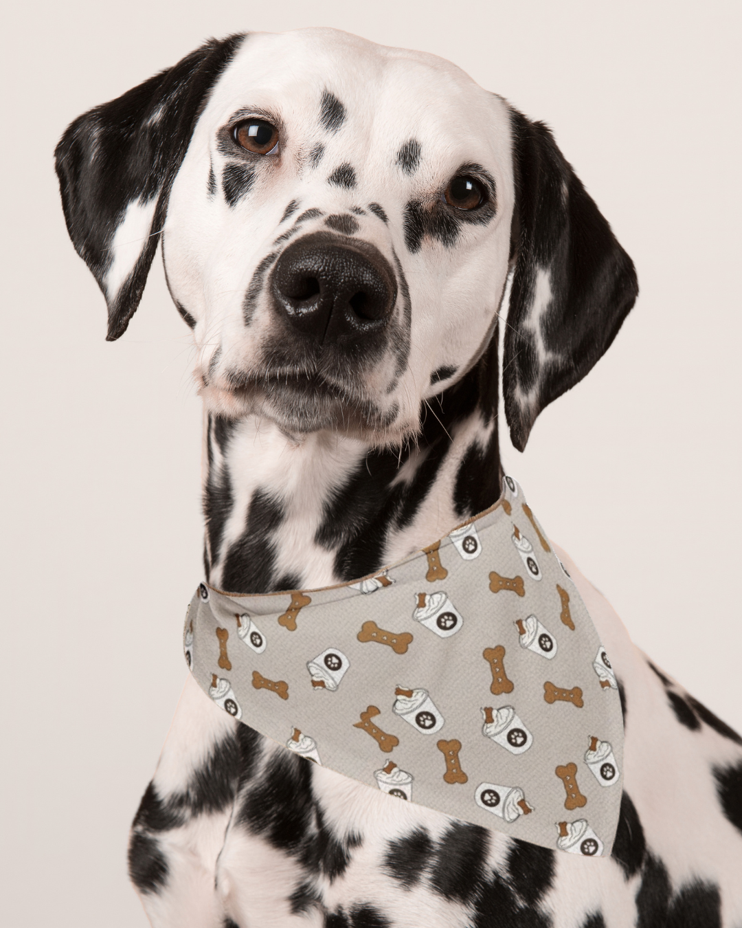 Pup- cup Bandana
