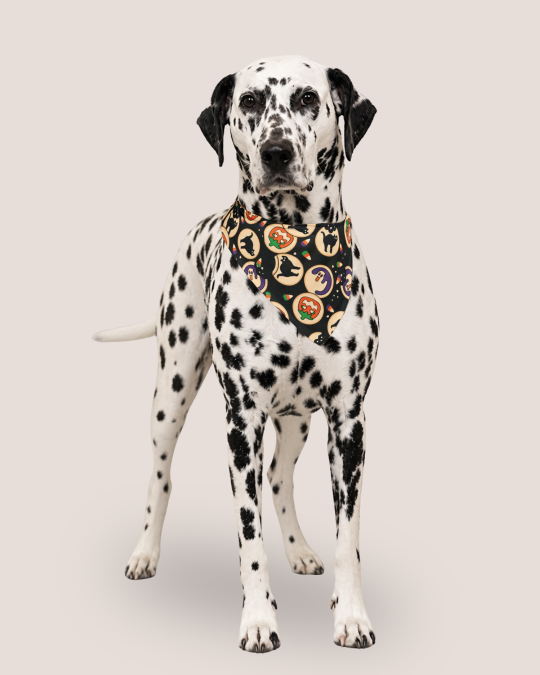 Halloween Cookie Bandana