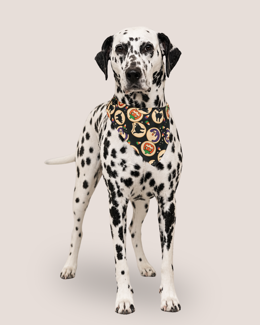 Halloween Cookie Bandana