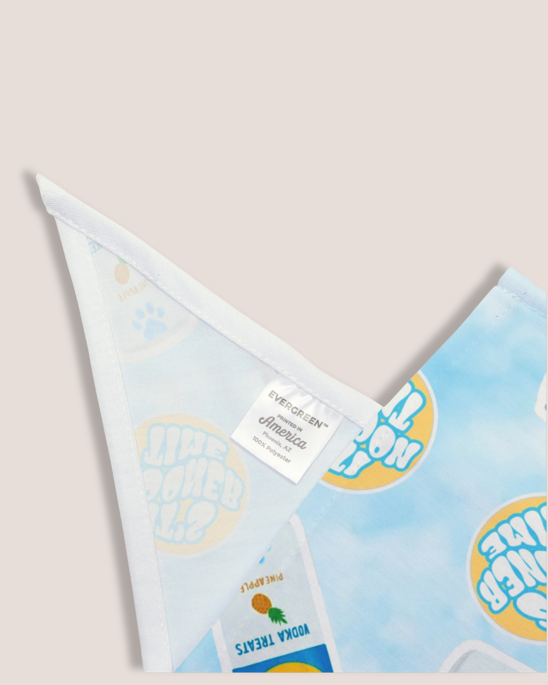 High Paws Bandana