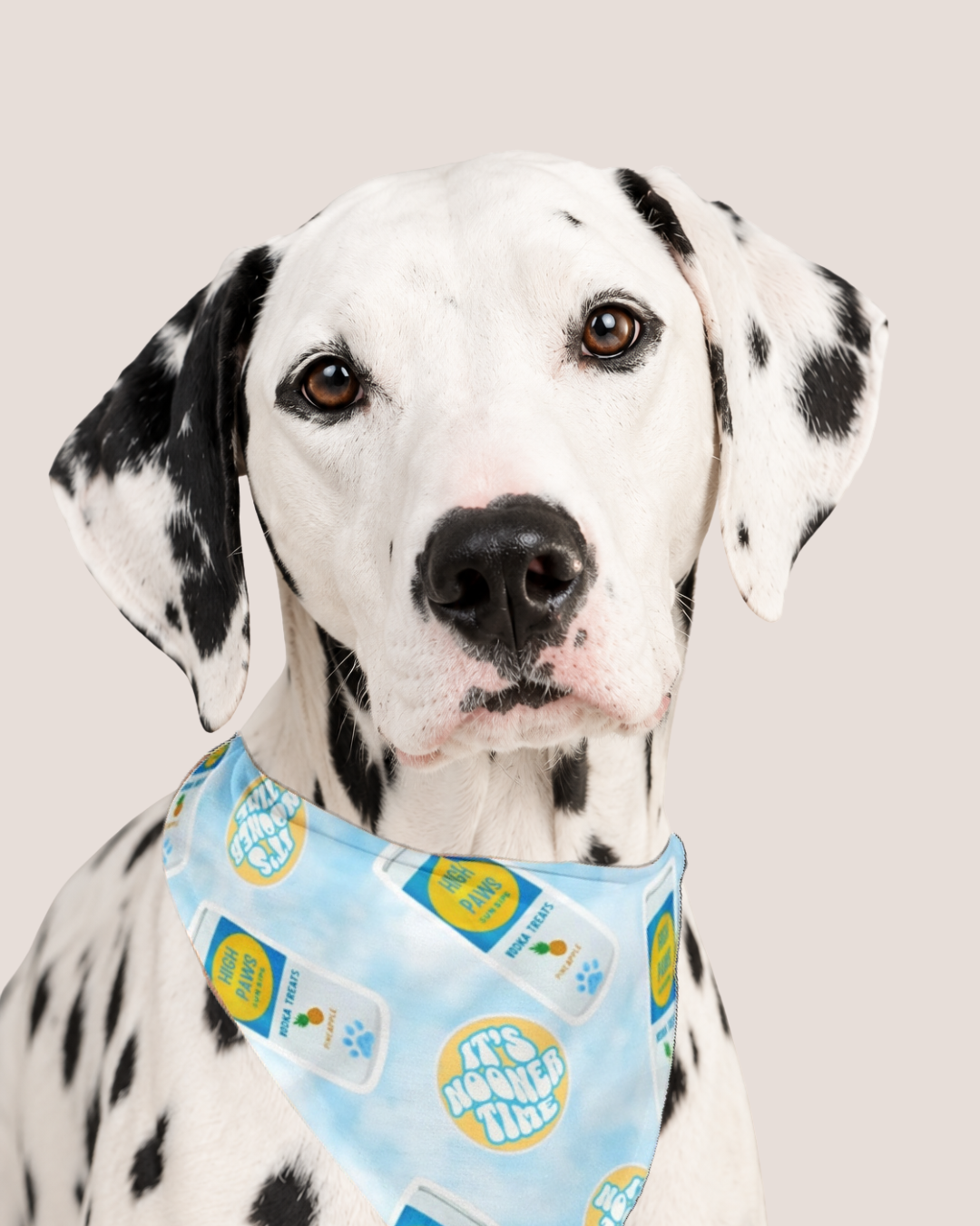 High Paws Bandana