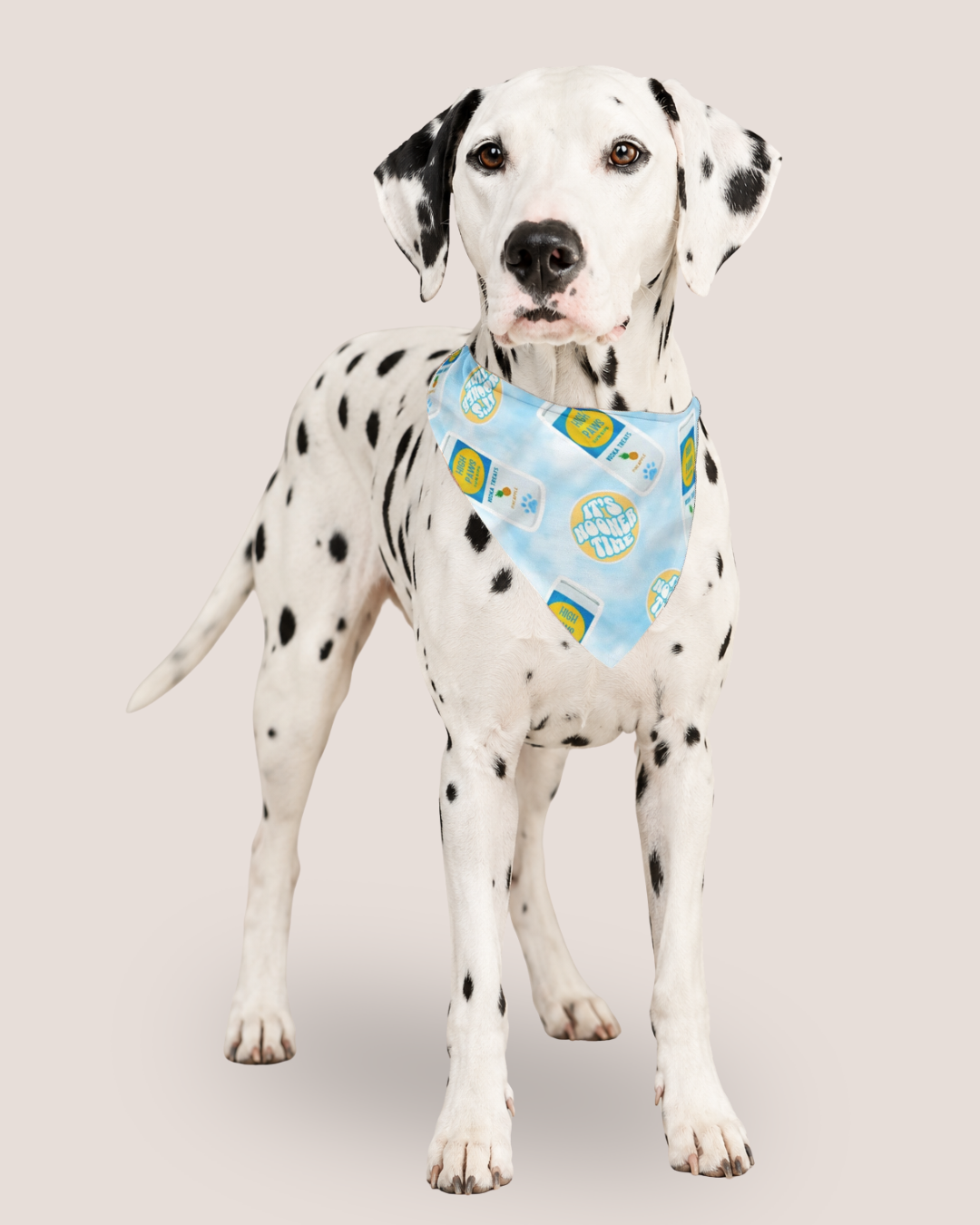 High Paws Bandana
