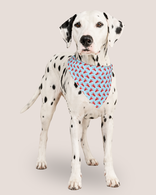 Lobster Bay Bandana