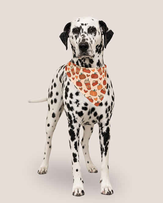 Pumpkin Spice Bandana