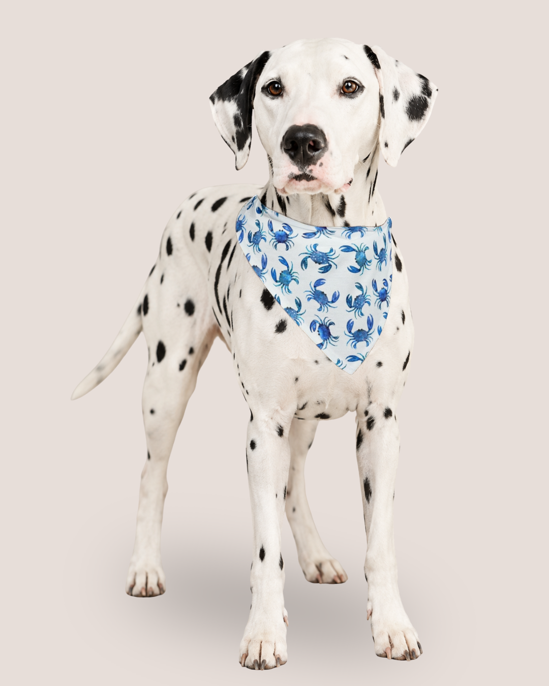 Blue Crab Bandana