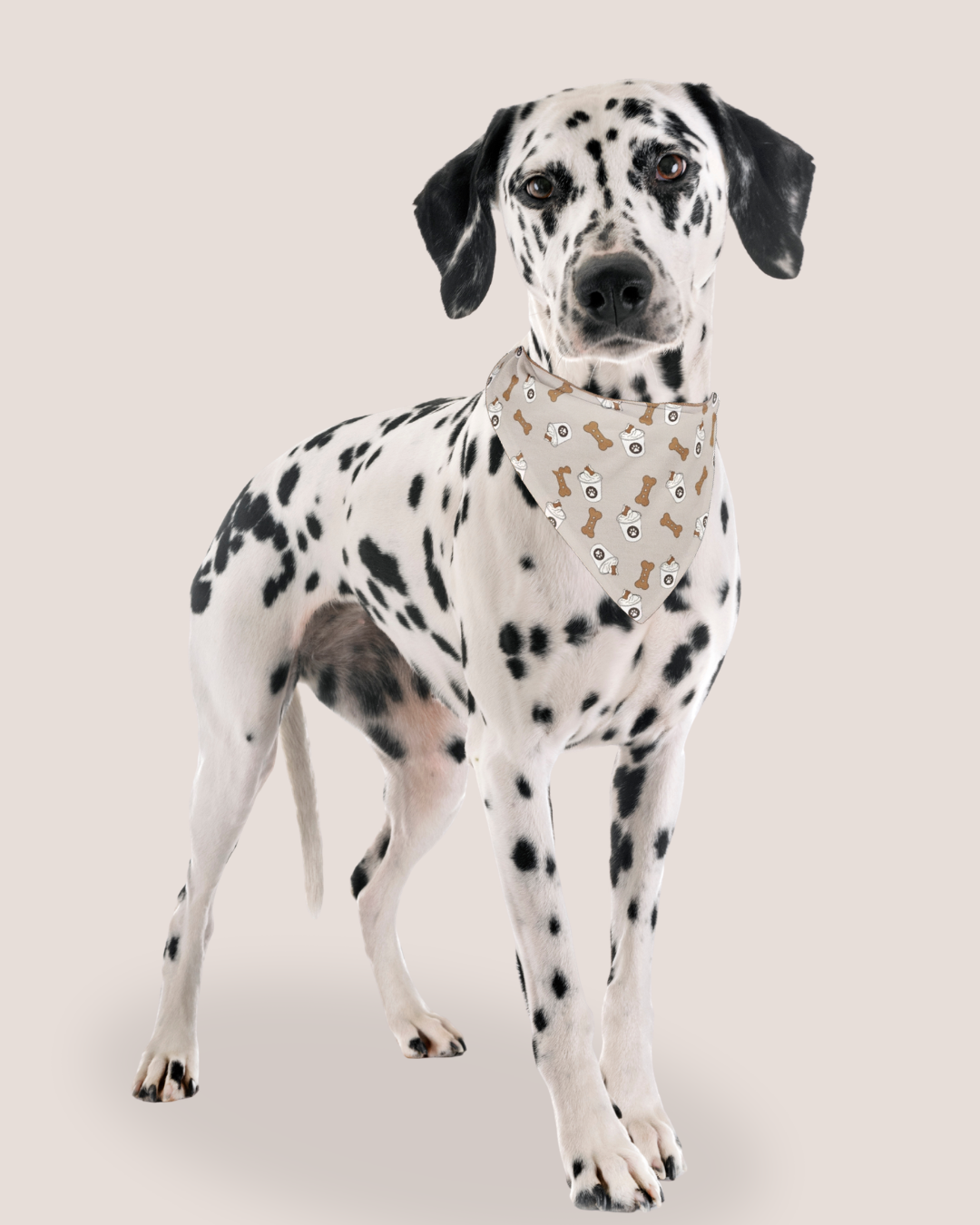 Pup- cup Bandana