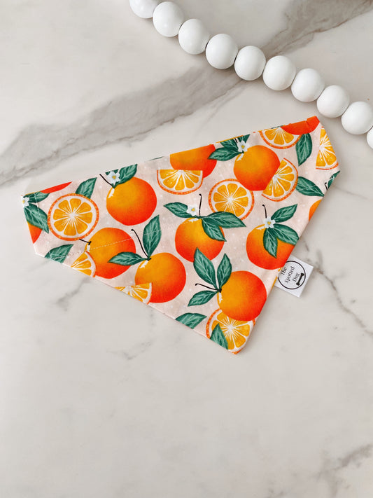 Oranges Pet Bandana