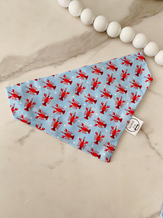 Lobster Polka Dot Pet Bandana